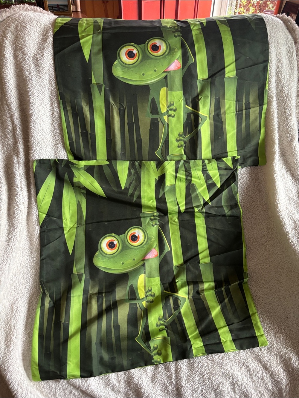 Cute Green Frog Bamboo Print 24x24 Pillow Cover Set